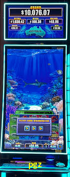 A Experiência Imersiva dos Cassinos Ao Vivo no pgz